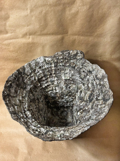 Stone Vase: The Flower Collection