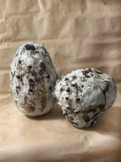 Twin Vases: Fertile Collection